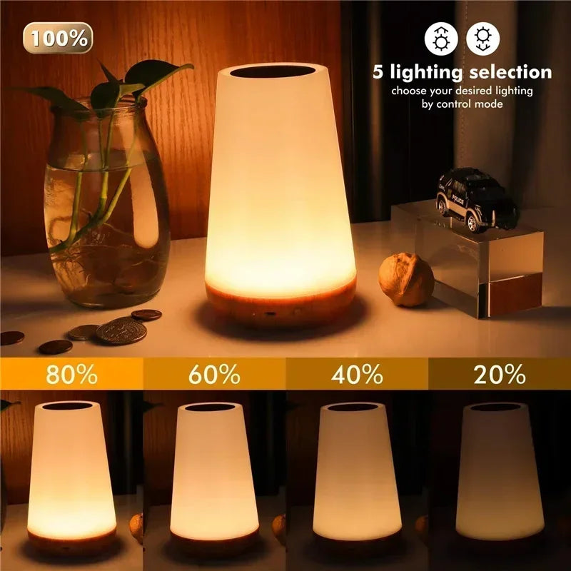 Light RGB 13 Color Changing Night  Remote Control Touch Dimmable Lamp Portable Table Bedside Lamps USB Rechargeable Night Lamp